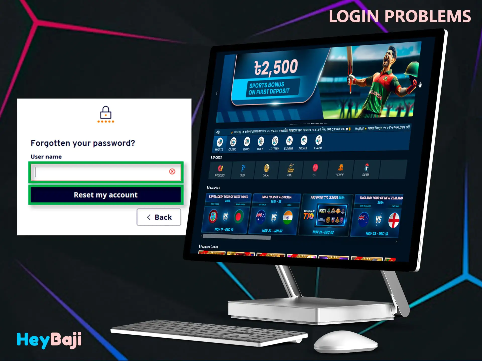 Every player may have problems with login to HeyBaji and we help to solve them